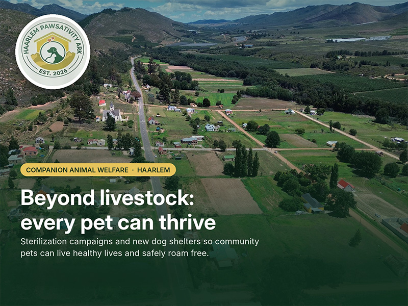Animal Health