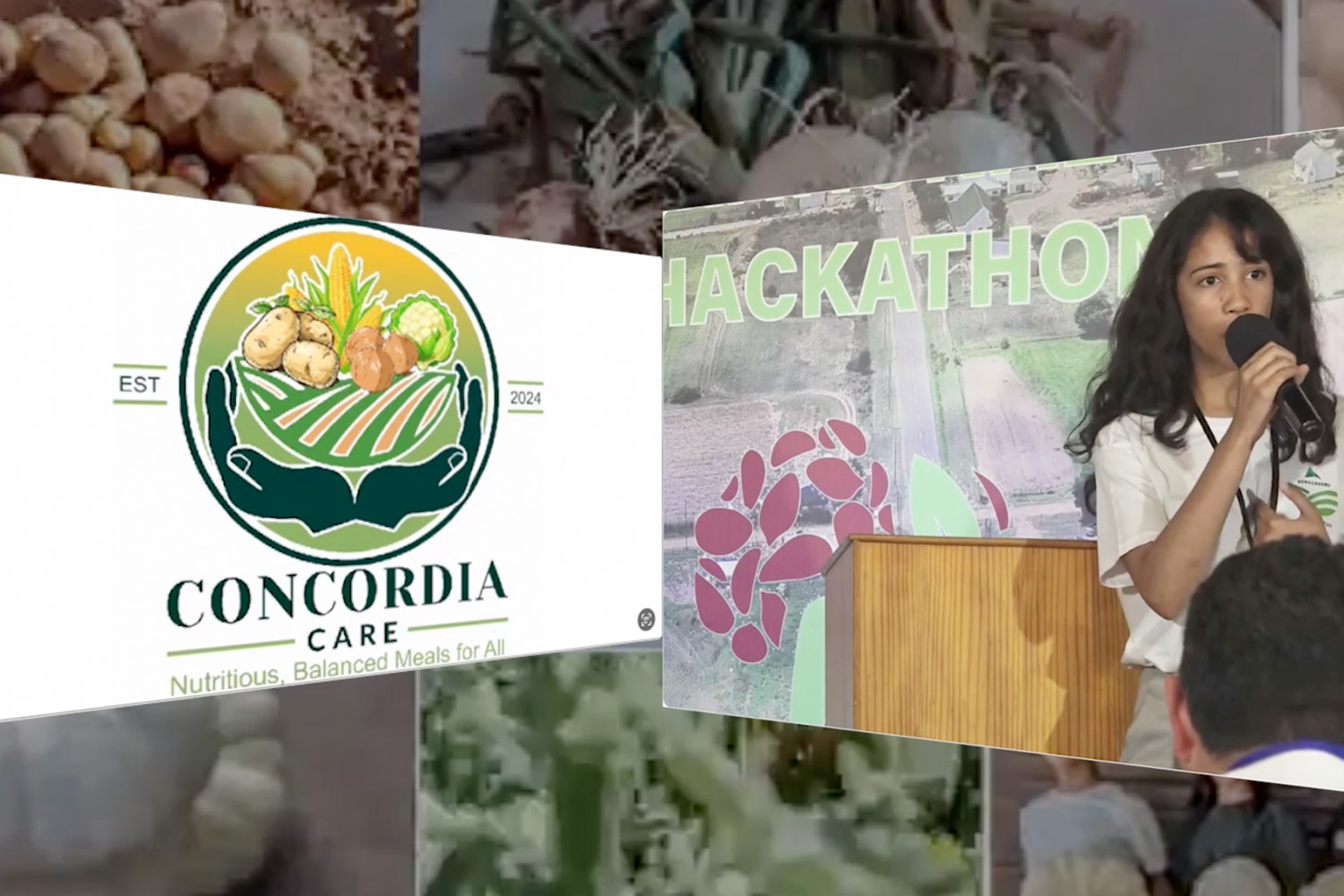 Concordia Care project logo and landing page